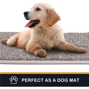 31.5" x 47", Non-Slip Machine Washable Entrance Rug, Absorbent Welcome Mat